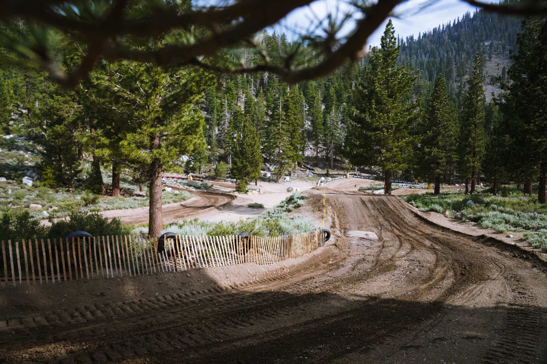 Mammoth track
